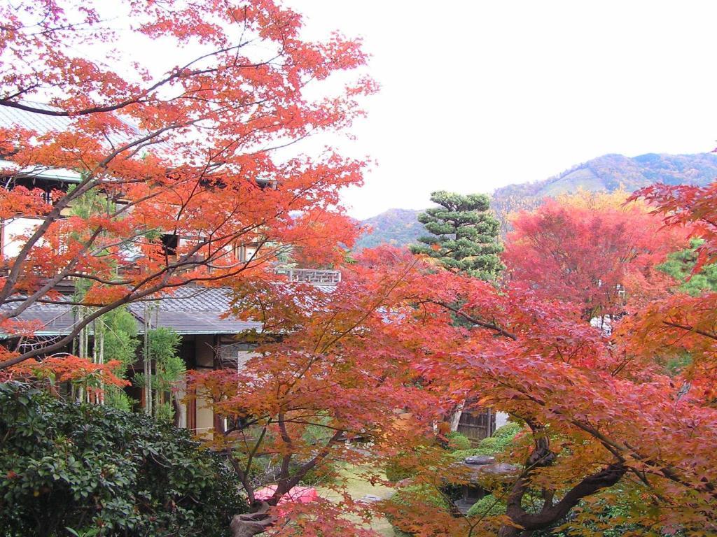 Ryokan Inn Yoshida-Sanso Kyoto Exterior foto